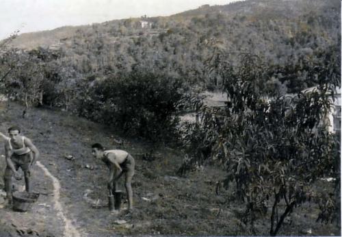 assunta old00011