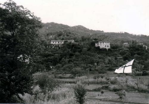 assunta old00017