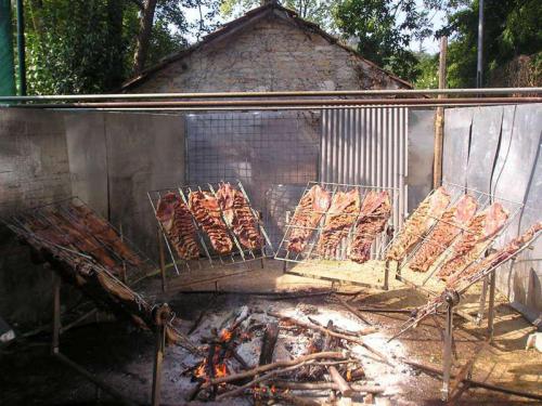 asado200900047