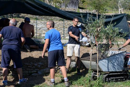 assunta2016-00204