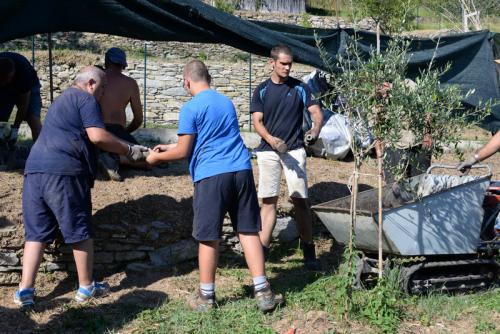 assunta2016-00205