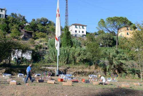 assunta2016-00224
