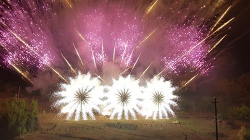 assunta2017-00190