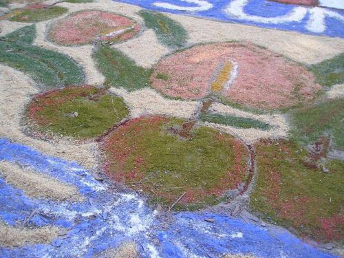disegno200900005