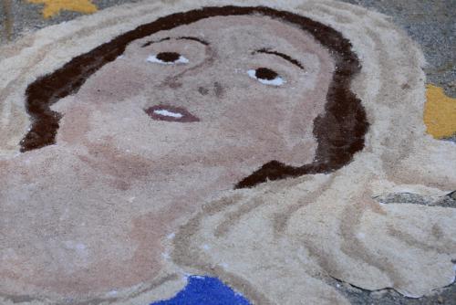 disegno201400026