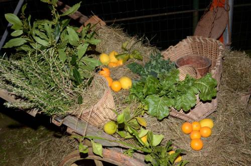 presepe201100031